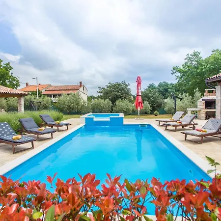 Roofed In Istria With Private Pool Villa *