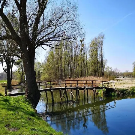 Vila In Medvidici With Pool Near Porec